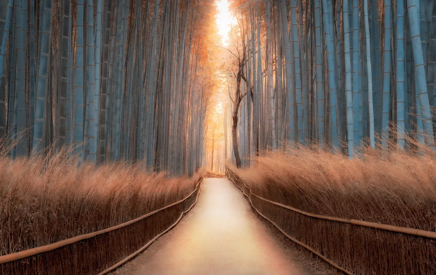 Path of Enlightenment